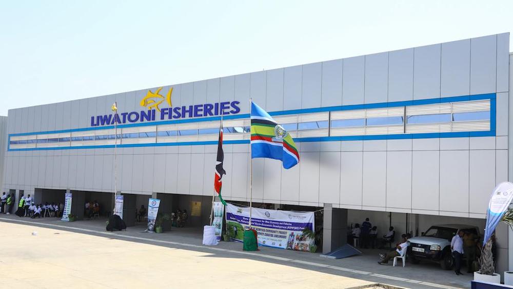 Investing in the Blue Economy to empower fishing sector