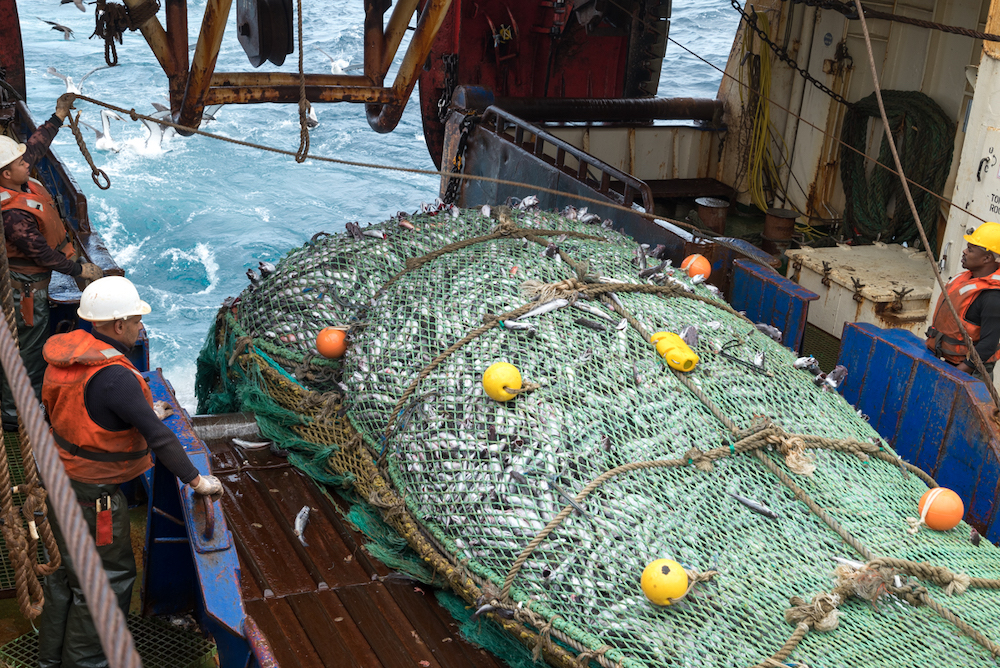 Deep-sea trawling industry welcomes the conclusion of FRAP