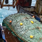 Deep-sea trawling industry welcomes the conclusion of FRAP