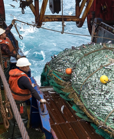 Deep-sea trawling industry welcomes the conclusion of FRAP