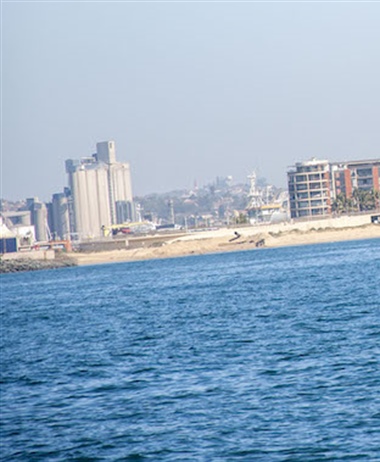 Shark danger closes Durban beaches