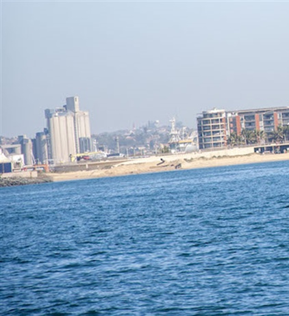 Shark danger closes Durban beaches