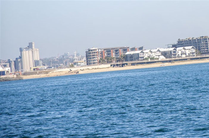 Shark danger closes Durban beaches