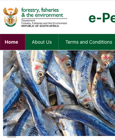 Online permit portal streamlines recreational fishing