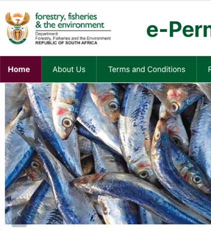 Online permit portal streamlines recreational fishing