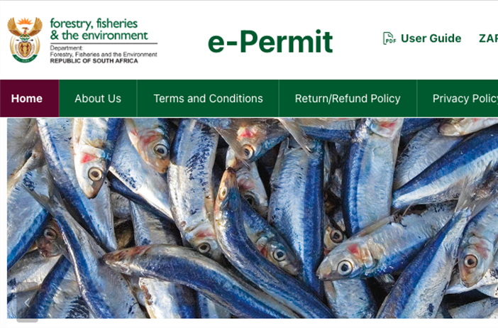 Online permit portal streamlines recreational fishing