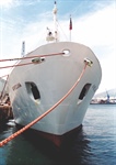 DFFE seeks standby vessels for fisheries surveys