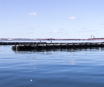 Towards an aquaculture knowledge hub for Africa