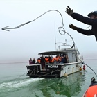 Training improves response to whale strandings and entanglement