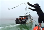 Training improves response to whale strandings and entanglement