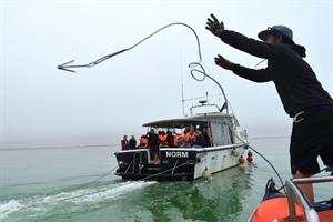 Training improves response to whale strandings and entanglement