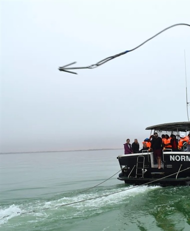 Training improves response to whale strandings and entanglement