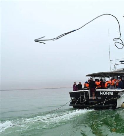 Training improves response to whale strandings and entanglement