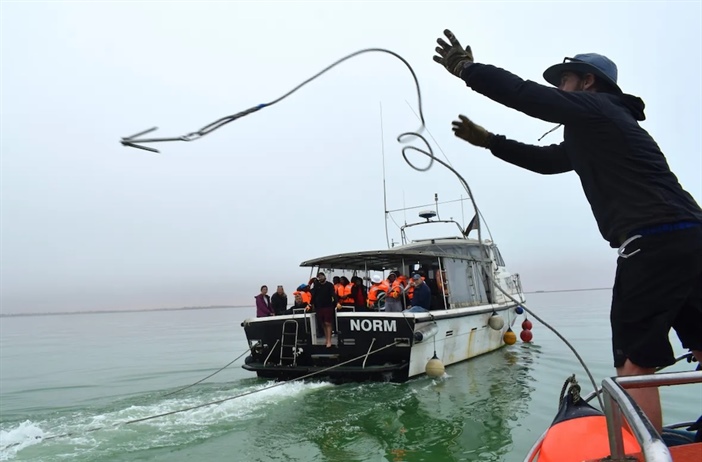 Training improves response to whale strandings and entanglement