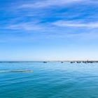 Oversight needed in marine diamond mining sector