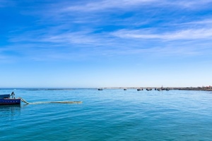 Oversight needed in marine diamond mining sector