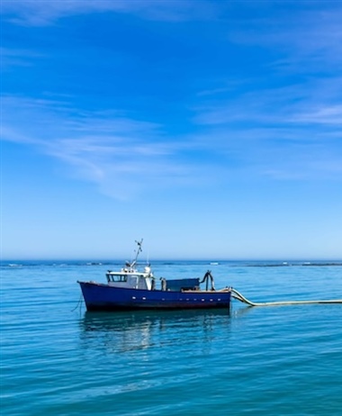 Oversight needed in marine diamond mining sector