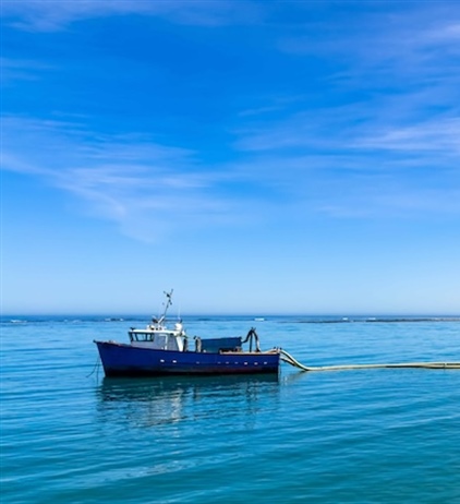 Oversight needed in marine diamond mining sector