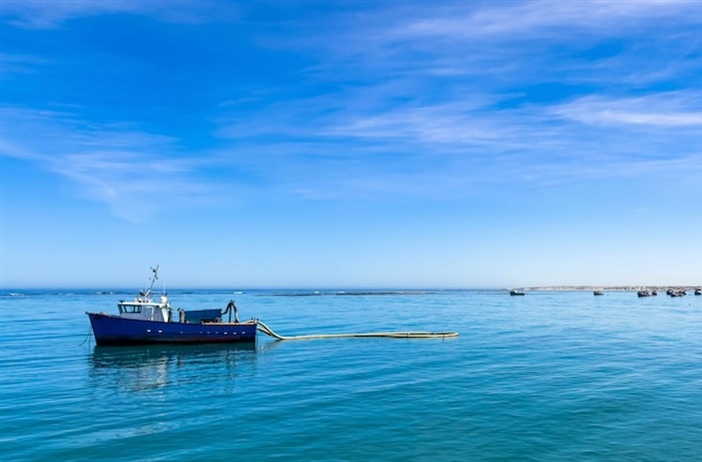 Oversight needed in marine diamond mining sector