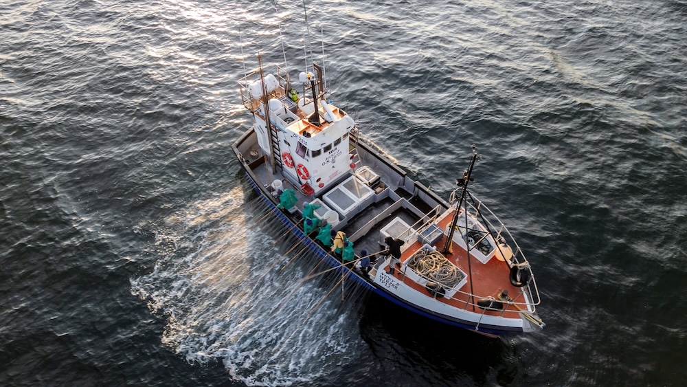 Funding sustainability in African fisheries