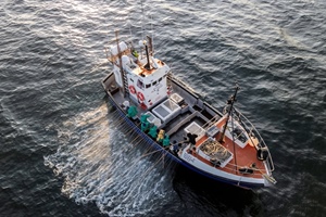 Funding sustainability in African fisheries