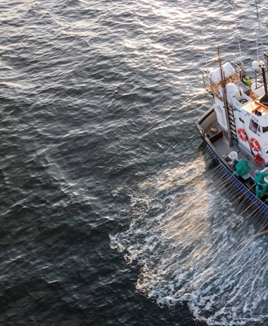 Funding sustainability in African fisheries