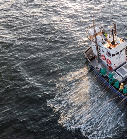 Funding sustainability in African fisheries