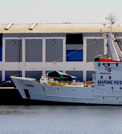 SAMSA drops out of ship management bid