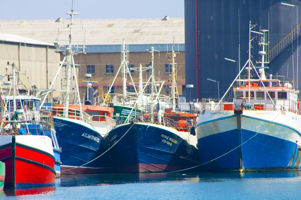 Joint inspections of fishing vessels