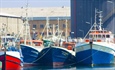Joint inspections of fishing vessels
