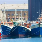Joint inspections of fishing vessels