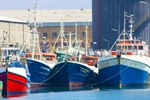 Joint inspections of fishing vessels