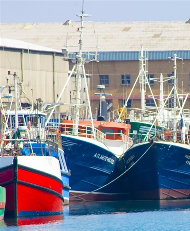 Joint inspections of fishing vessels