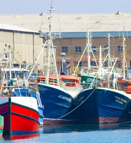 Joint inspections of fishing vessels