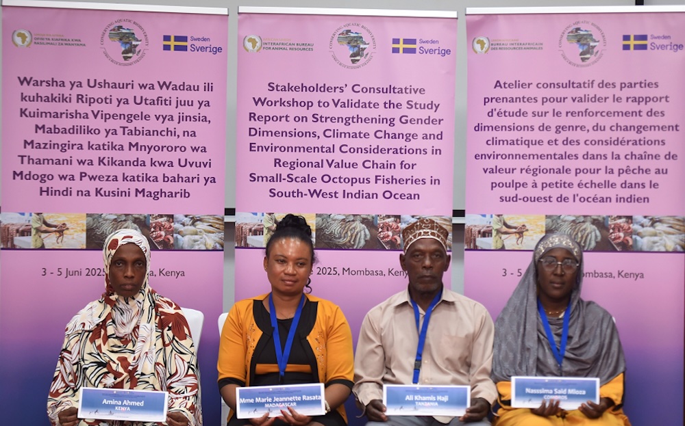 Strengthening gender equality in octopus fisheries