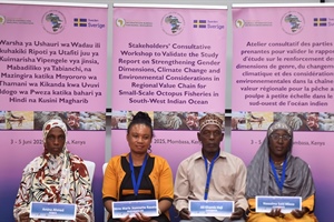 Strengthening gender equality in octopus fisheries