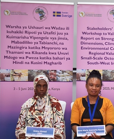 Strengthening gender equality in octopus fisheries