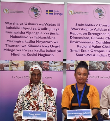 Strengthening gender equality in octopus fisheries