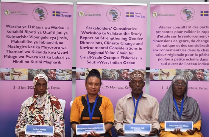 Strengthening gender equality in octopus fisheries