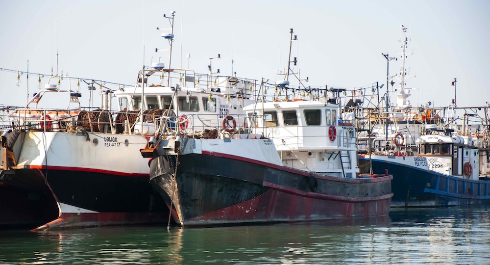 Fishing industry invited to engage on new fishing vessel regulations