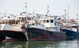 Fishing industry invited to engage on new fishing vessel regulations