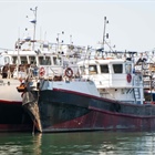 Fishing industry invited to engage on new fishing vessel regulations