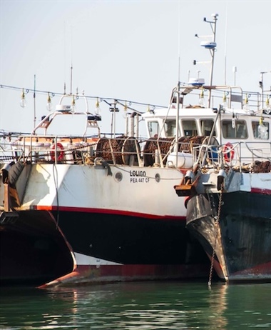 Fishing industry invited to engage on new fishing vessel regulations