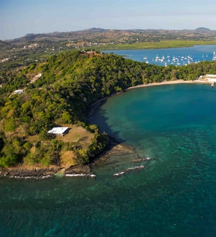 Restoring critical coastal ecosystems