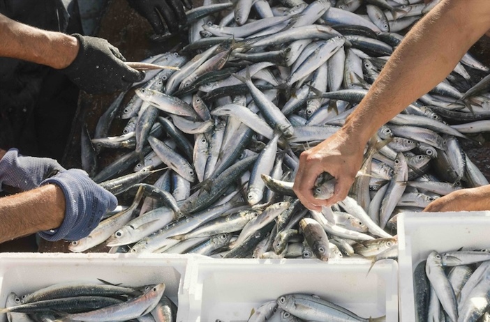 FRAP finalisation drags on