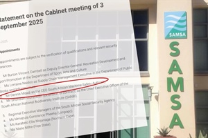 Cabinet names next CEO for SAMSA - again