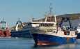 Fishery prepares for recertification