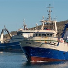 Fishery prepares for recertification