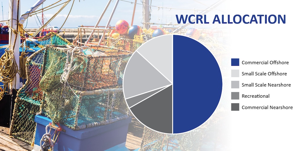 Recovery in WCRL sees increase in TAC