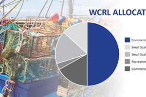 Recovery in WCRL sees increase in TAC